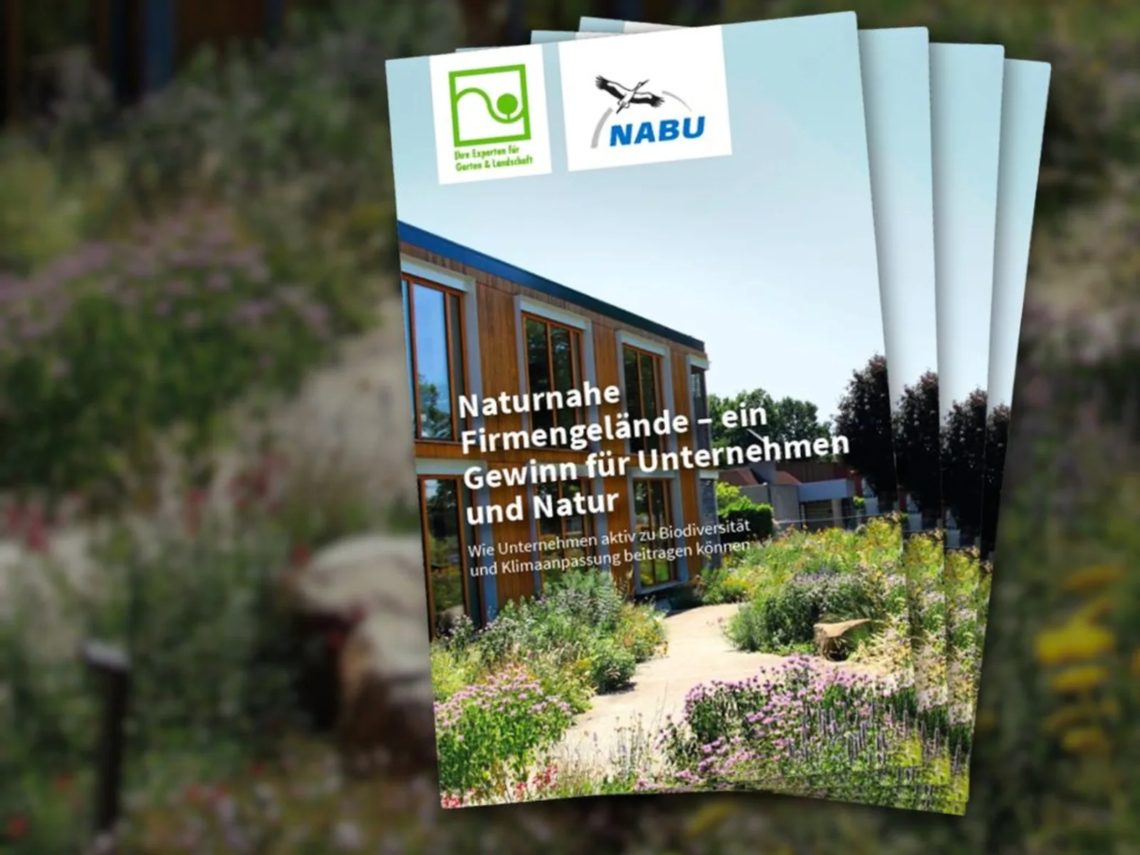 Flyer „Naturnahe Firmengelände – ein Gewinn für Unternehmen und Natur“ mit den Logos von NABU und den Experten für Garten & Landschaft