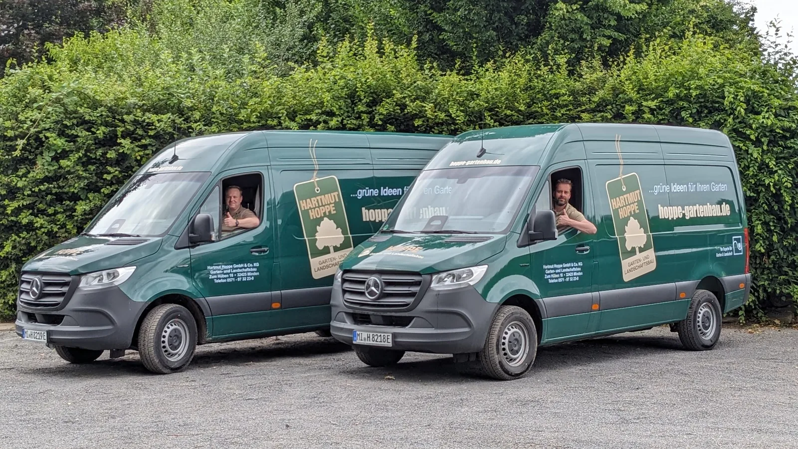 Zwei grüne Firmenfahrzeuge von Hoppe Gartenbau mit Mitarbeitern am Steuer vor einer Hecke